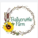 Ballycruttle Farm