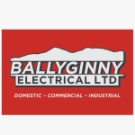 Ballyginny Electrical Ltd