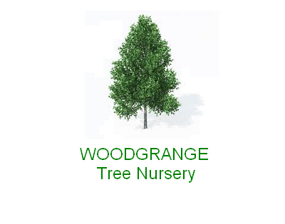 Woodgrange Tree Nursery