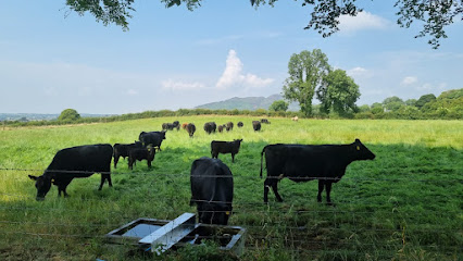 Fairy Bush Farm