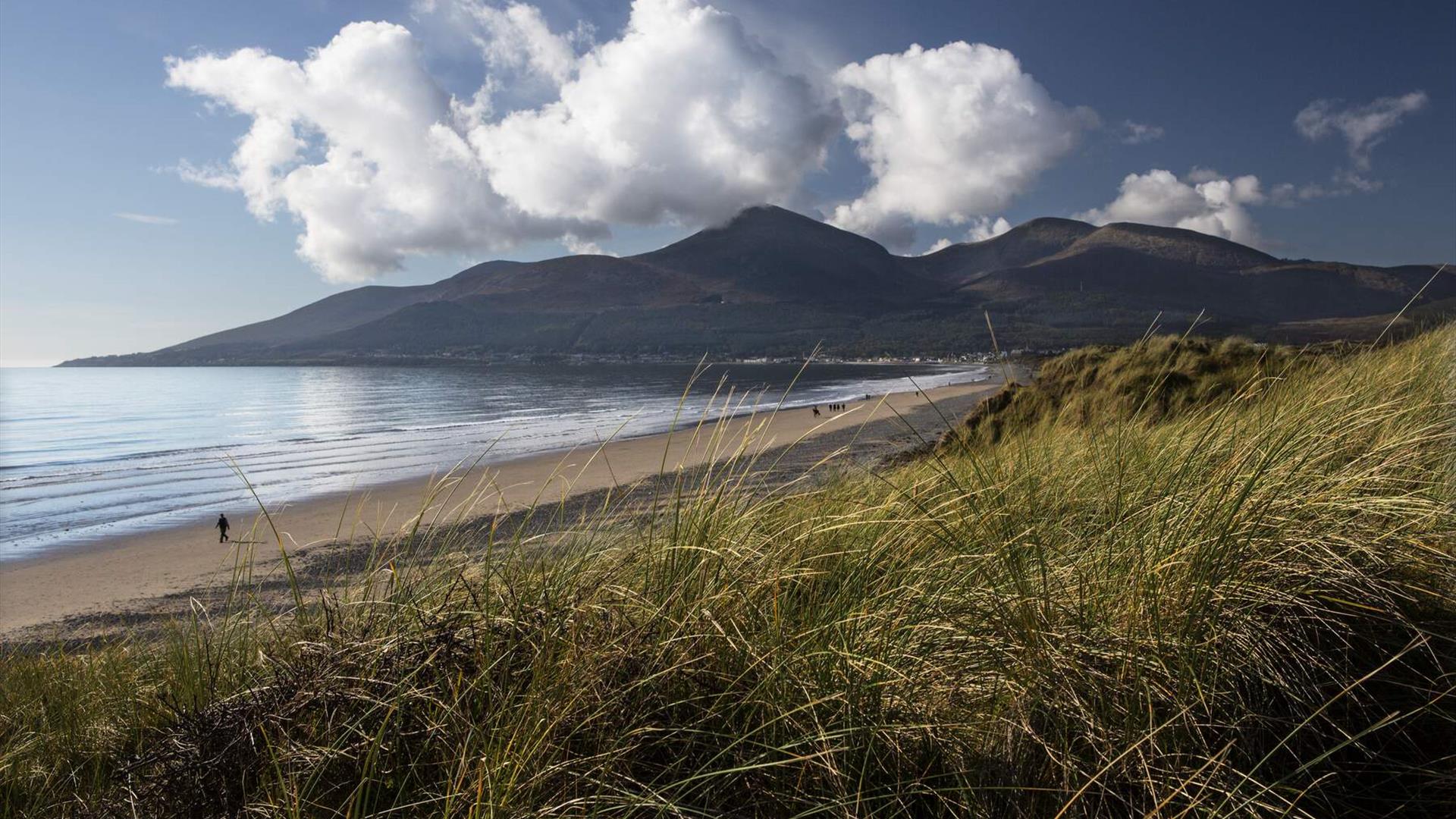 Murlough Beach