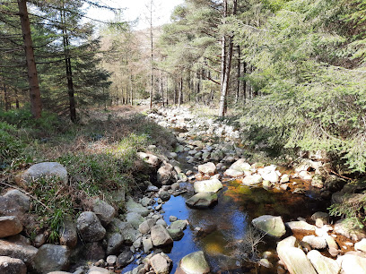 Yellow Water Picnic Site