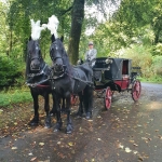 George Fawcett Carriages