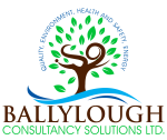 Ballylough Consultancy Solutions Ltd