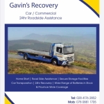 Gavin’s Recovery
