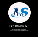 Pro Steam N.I