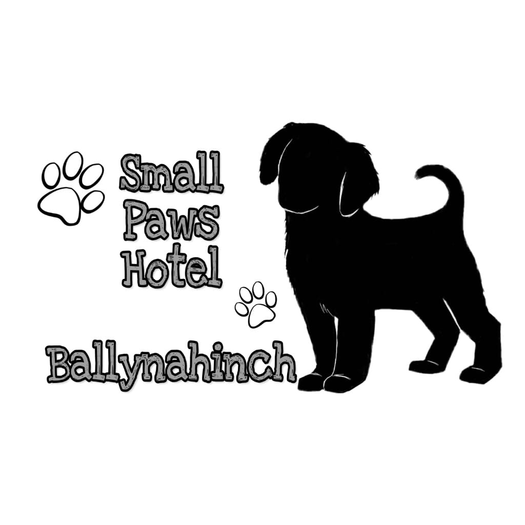 Small Paws Hotel Ballynahinch