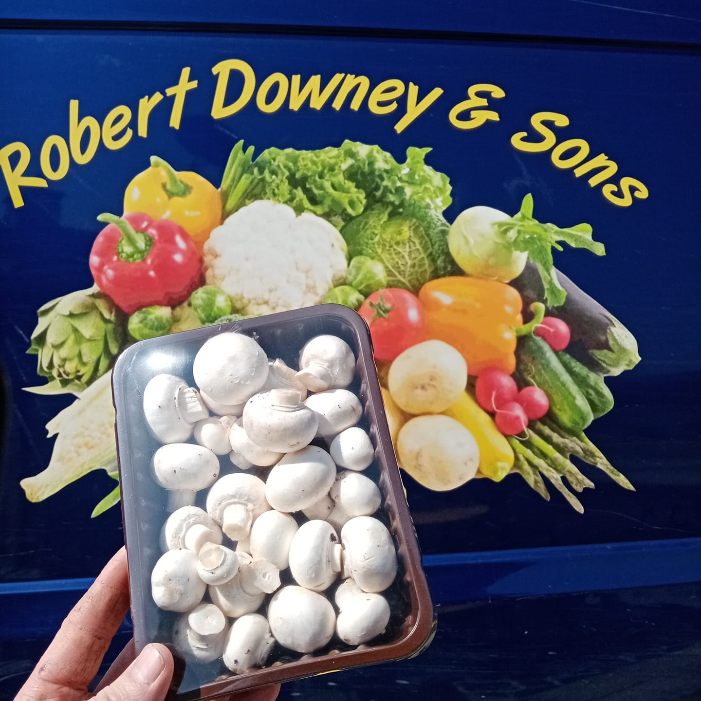 Robert Downey & Sons Fresh Fruit & Vegetables