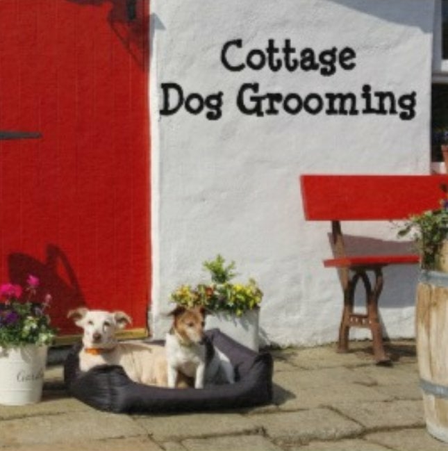Cottage Dog Grooming