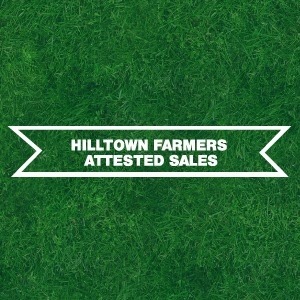 Hilltown Farmers Attested Sales Co