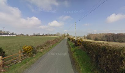 Flint Of Ballydugan