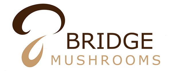 Bridge Mushrooms