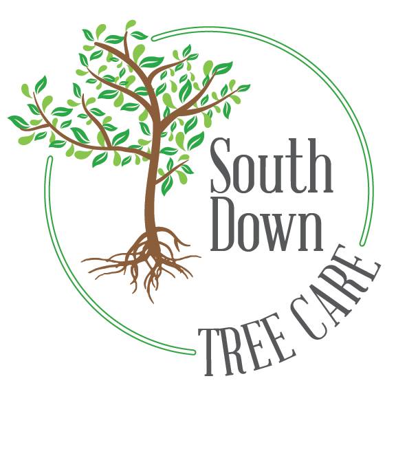 South Down Treecare