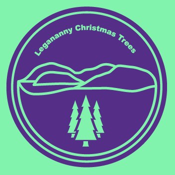 Legananny Christmas Trees